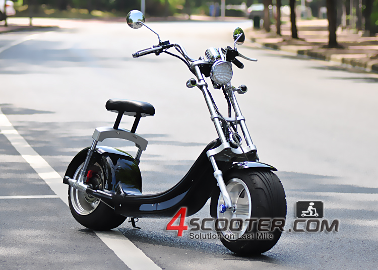 2018 NEW 1000W 1500W CITYCOCO Electric scooter